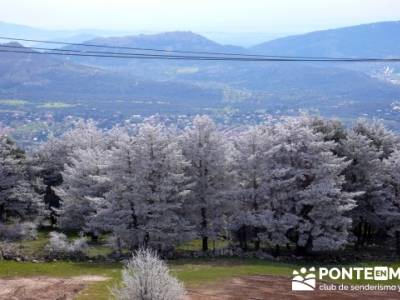 La Peñota y Peña del Arcipreste;agencias senderismo madrid; senderismo semana santa